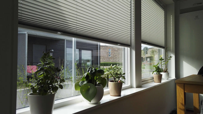 Plisségardiner fönster - Enkelhet, stil och funktion i ett